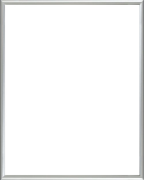 Silver Metal Frame
