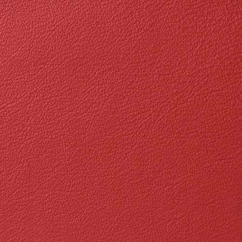 Cardinal